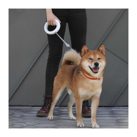 Samsung Galaxy A56 5G 128 Go Graphite - EU - Neuf