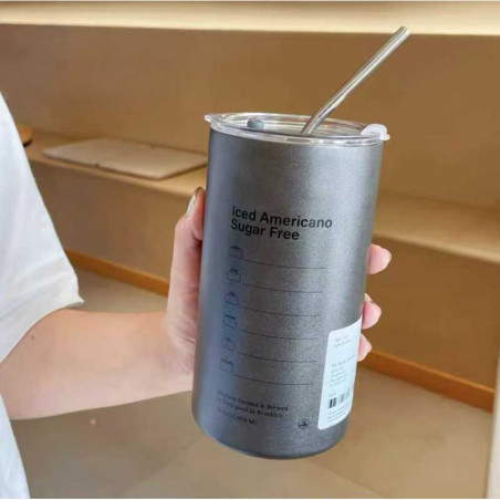 Insulated Bottle ECO with Stainless Steel Straw – 350ml, Gray