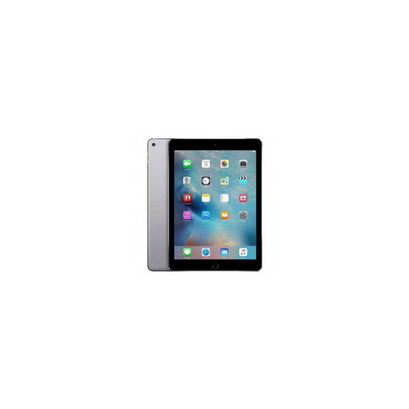 iPad Air 2 64 Go Cellular Gris - Grade A