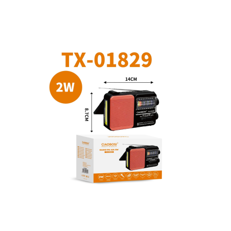 Radio Portable Multi Bande FM/MW/SW Design Classique et Réception Puis