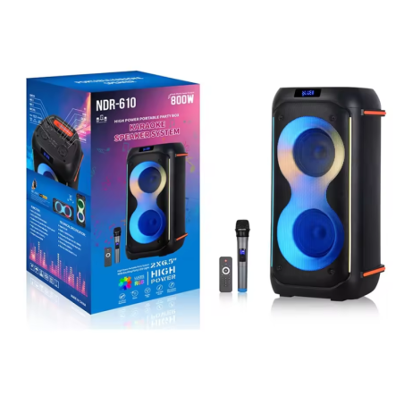 Enceinte Bluetooth NDR-610 avec Microphone - 2x6,5" - 800W -