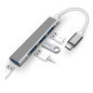 HUB Type-C 4 en 1 pour Ordinateur Portable 4 Ports USB 3.0 - Gris Souris