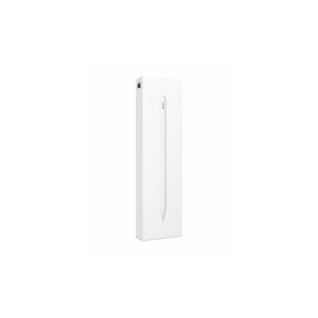 Stylet Tactile Apple Pencil USB-C Per iPad MUWA3ZM/A - Alimentation Re