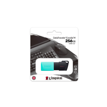 Clé USB Kingston DataTraveler Exodia M USB-A 3.2 256 Go DTXM/256GB - N