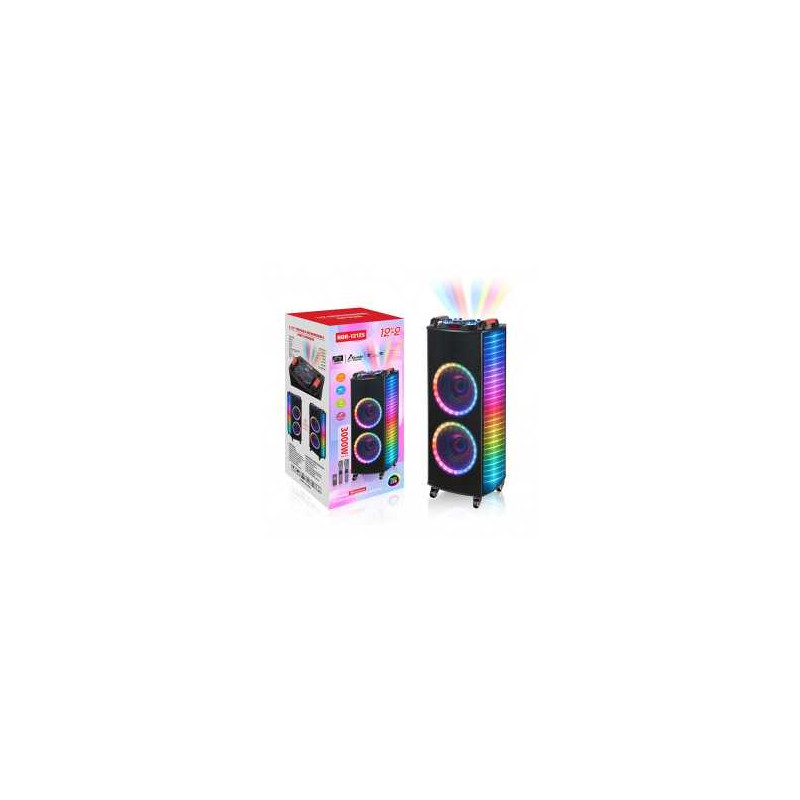 Enceinte Bluetooth Double Haut-parleur - 12 pouces 3000W