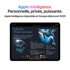 iPad Air 13" (7e Génération) A3268 256 Go Wi-Fi MCNP4LL/A (Spec USA) - Apple M3 … — Reconditionné Garanti 12 mois