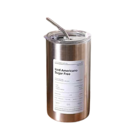 Bouteille d'eau en acier inoxydable isotherme avec paille en acier inoxydable 600ML - Couleur acier inoxydable