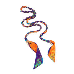 Collier de Coque de Téléphone avec Cordon Lon | Smarty Paris