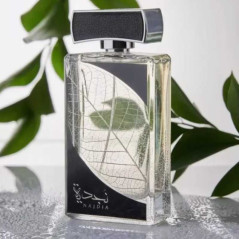 Étui Rabat Portefeuille ARAREE Bonnet Diary Samsung Galaxy Z