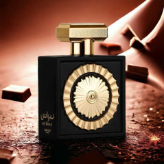 Sèche-Cheveux Pliable VGR Moteur BLDC Double Tension Salon I