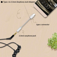 Eco-Solution USB-C to 3.5 mm Adapter 2-Pack