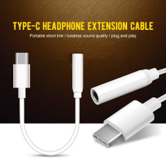 Eco-Solution USB-C to 3.5 mm Adapter 2-Pack