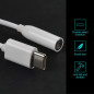 Stereo Audio Adapter Eco-Solution USB-C to 3.5 mm – White x2 Stereo Audio Adapter Eco-Solution USB-C to 3.5 mm – White x2