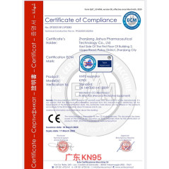 Masque KN95 CE pack de 10 | Smarty Paris