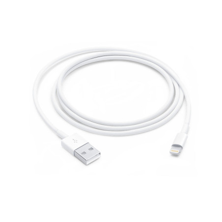 Apple câble USB Lightning MXLY2ZM/A 1 m | Smarty