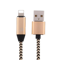 Câble USB Lightning 1 m avec adaptateur audio ECO