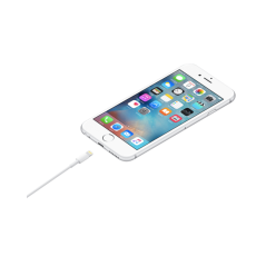 Câble Apple USB vers Lightning 1 m vrac | Smarty