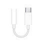 Apple Adaptateur USB-C vers jack 3,5 mm MU7E2ZM/A