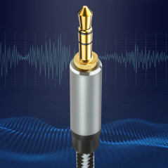 Câble audio USB-C Jack 3,5 mm LinQ TPC3515