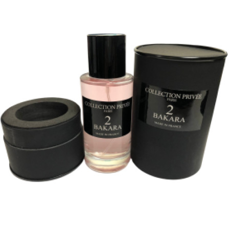 Enceinte sans Fil Bluetooth MagSafe et USB-C | Smarty Paris