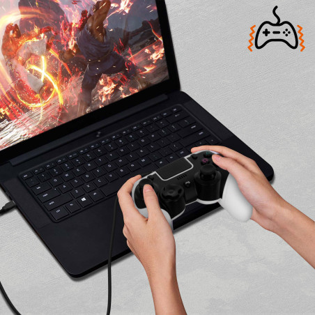 Manette filaire LinQ GAP424 – USB, PS4 / PC