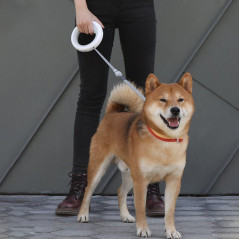 Xiaomi Moestar Laisse rétractable pour chien 2 – Grise 3 m