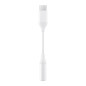 Samsung Adaptateur USB-C vers jack 3,5 mm EE-UC10JUWEGUS Samsung Adaptateur USB-C vers jack 3,5 mm EE-UC10JUWEGUS