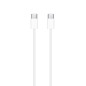 Câble Apple USB-C vers USB-C – 1 m, vrac · Reconditionné Câble Apple USB-C vers USB-C – 1 m, vrac · Reconditionné