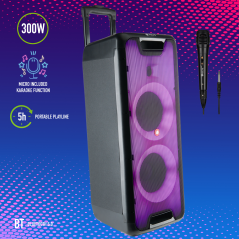 NGS Wild Rave 2 300W Black Speaker