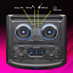 NGS Wild Dub Bluetooth Speaker 300 W | Smarty