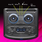 Bluetooth Speaker NGS Wild Dub – Built-in Battery 8-inch 300 W Black