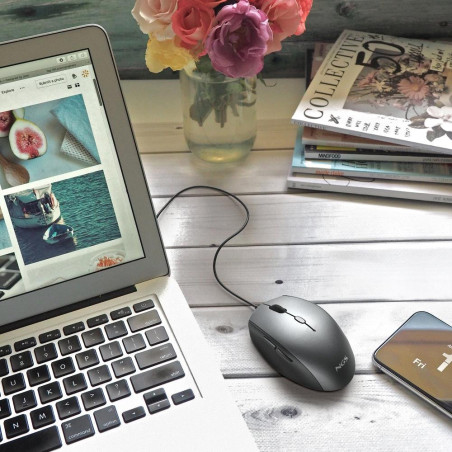 Souris filaire ergonomique NGS Moth Gray USB/Type-C – Gris