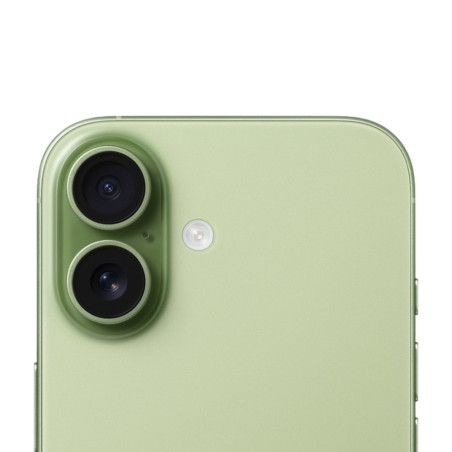 Apple iPhone 17 Smartphone – 256GB Sage MG6N4F/A