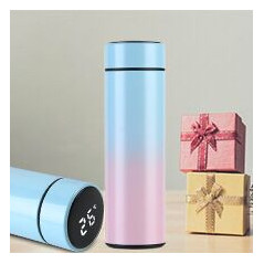 Smart Thermos Bottle CIAOBOSI TX-8262 – 450ml Blue