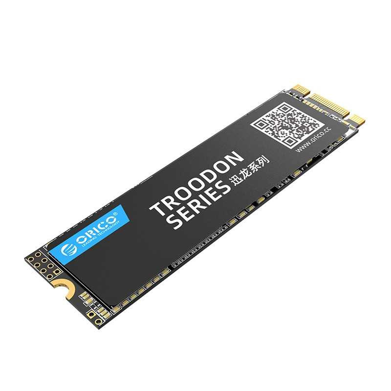 SSD M.2 2280 Orico N300 – 128 Go / 512 Go / 1 To