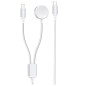 Câble de charge 2-en-1 XSSIVE XSS-WATCH2IN1CL – USB-C/Lightning pour iWatch