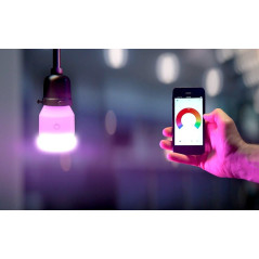 Ampoule connectée LIFX A21E27 Metal Gray