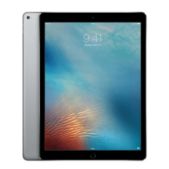 iPad Pro 12.9" 2015 128 Go Cellular Gris - Grade A — Recondi