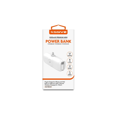 Power Bank 5000mAh pour iPhone et iPad avec Câble pour USB-C - Chargem