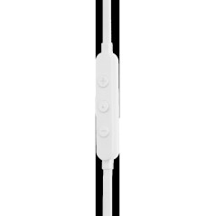 JBL Tune 310C USB-C blanc JBLT310CWHT