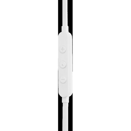 JBL Écouteurs filaires Tune 310C JBLT310CWHT – USB-C, Blanc