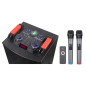 Bluetooth speaker ECO – dual 12-inch drivers 2000W Bluetooth speaker ECO – dual 12-inch drivers 2000W