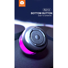 Mini haut-parleur Bluetooth WUW R213 | Smarty