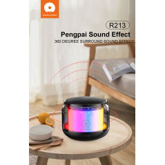 Mini haut-parleur Bluetooth WUW R213 | Smarty