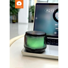 Mini haut-parleur Bluetooth WUW R213 | Smarty