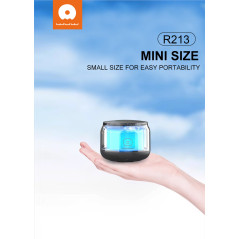 Mini haut-parleur Bluetooth WUW R213 | Smarty