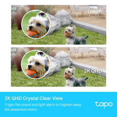 Caméra TP-Link Tapo C420S1 2K QHD | Smarty