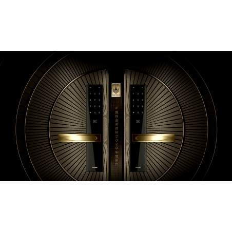 Serrure connectée ORVIBO Smart Door Lock S2 – WiFi portes 40 à 120 mm