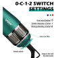 Brosse chauffante 4-en-1 VGR V493 – 1000 W Vert
