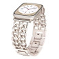 Bracelet Apple Watch ECO à double chaîne – acier inoxydable argent Bracelet Apple Watch ECO à double chaîne – acier inoxydable argent